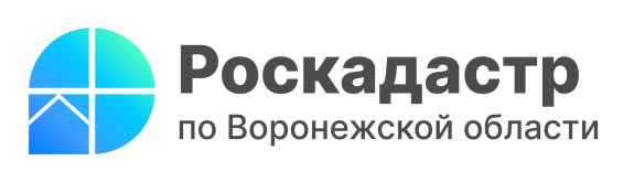 Роскадастр расскажет воронежцам о консультациях в сфере недвижимости.